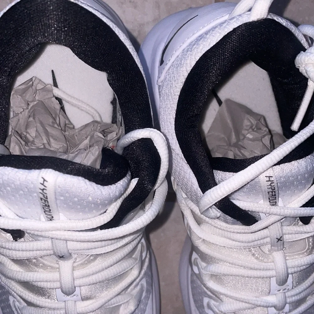 NIB NIKE HYPERDUNK LOW TB - Picture 7 of 8